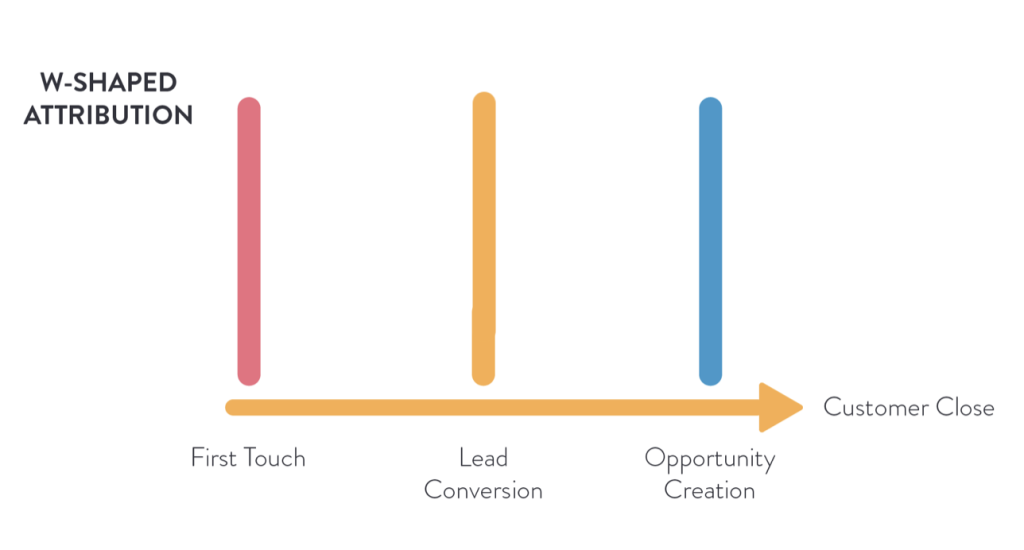 w-shaped attribution